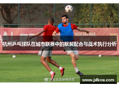 杭州乒乓球队在城市联赛中的默契配合与战术执行分析